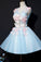 Princess Blue A-Line Hayden Homecoming Dresses Short With Flowers CD24332