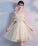 Champagne Tulle Short Dress Champagne Nell Homecoming Dresses CD3036