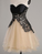 Black Dress Sweatheart Neck Dress Felicity Lace Homecoming Dresses CD3124
